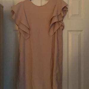Zara Ruffle Pale Pink Dress M NWT